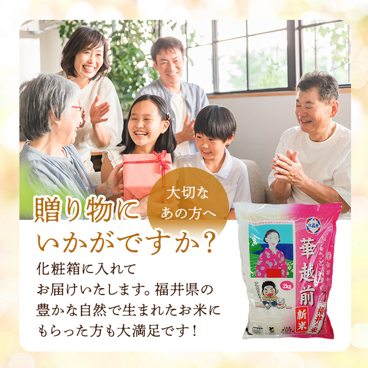 令和7年度産 精米【はなえちぜん】 5KG袋 【福井県米ブランド米】華