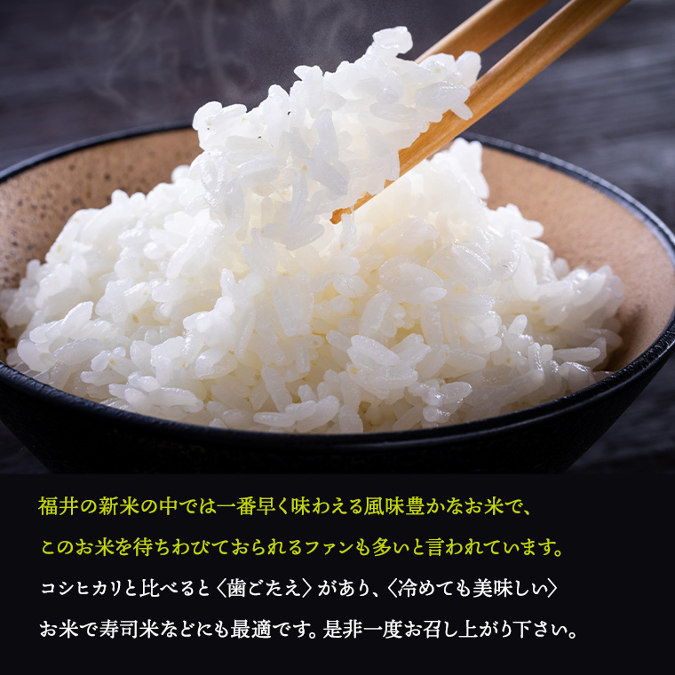 令和7年度産 精米【はなえちぜん】 5KG袋 【福井県米ブランド米】華