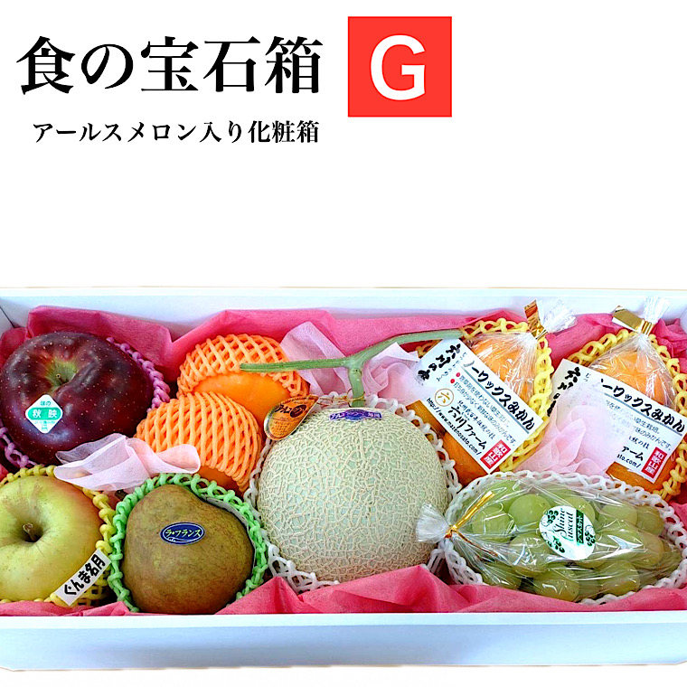 果物ギフト 食の宝石箱【G】 お中元 夏ギフト フルーツ セット 内祝