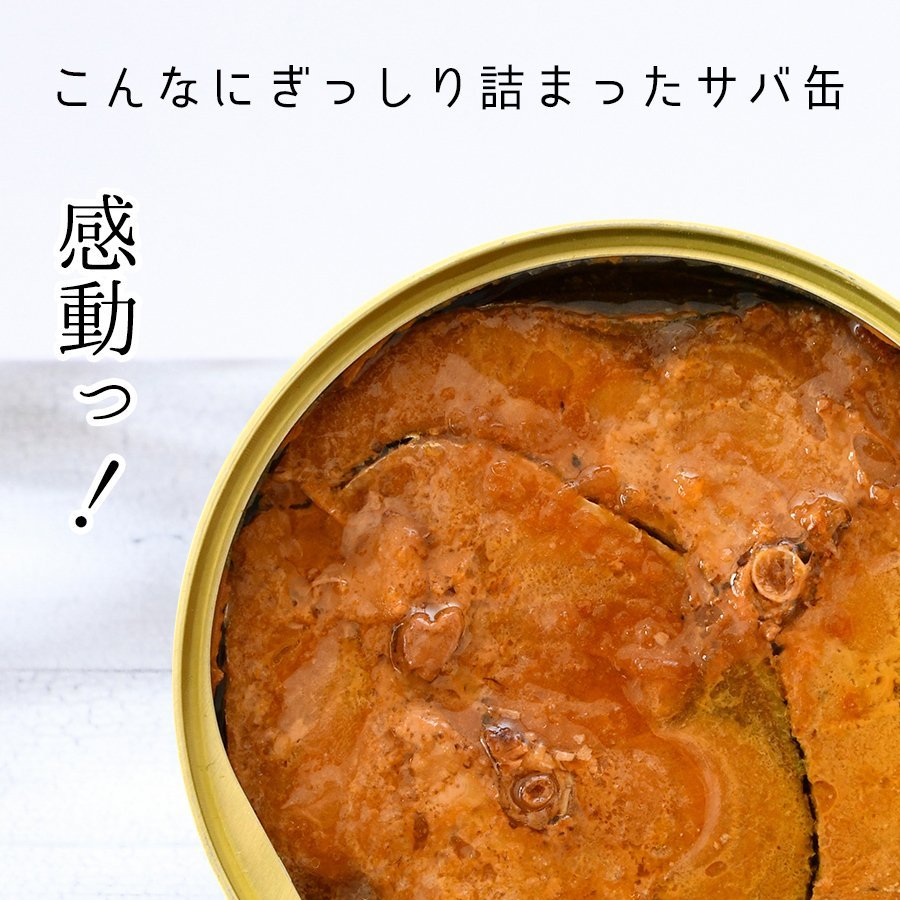 鯖缶 味付醤油仕立て 無添加 １２缶 缶詰 高級 サバ缶 非常食