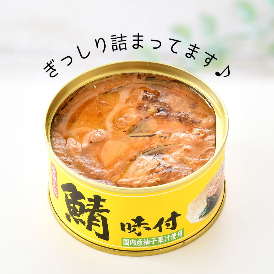 おいしい鯖 4つセット savibes – No.38公式オンラインショップ
