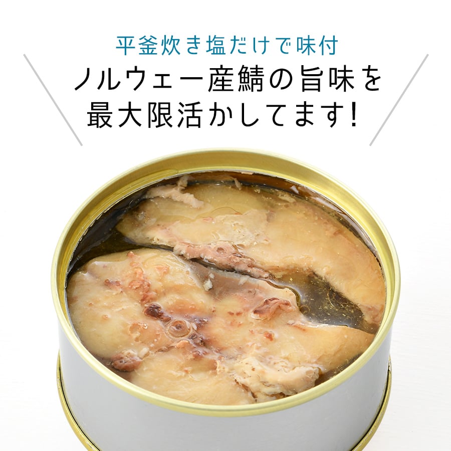 鯖缶 旬獲れ極み鯖 水煮（90g）８缶 平釜炊き塩使用 無添加 高級 サバ