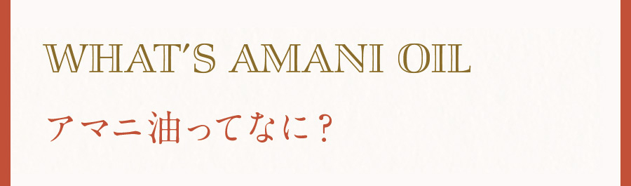 アマニ油ってなに？