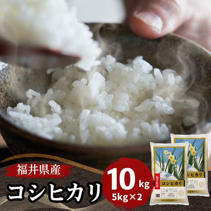 コシヒカリ 米 10kg 5kg×2袋 福井県産 白米 令和6年産 送料無料