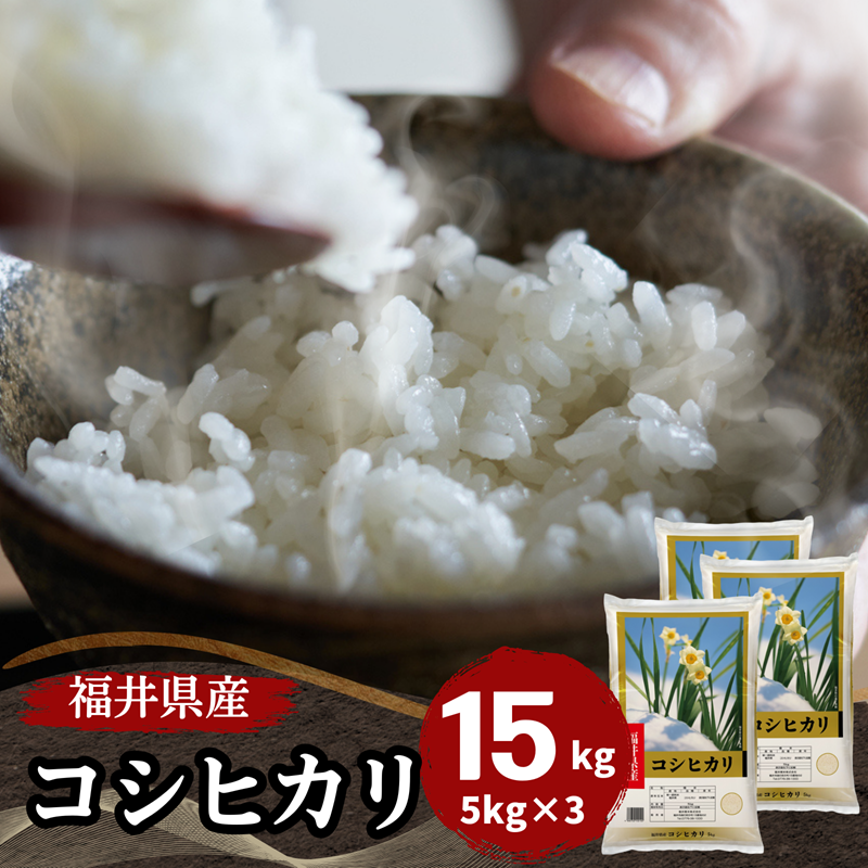 コシヒカリ 米 15kg 魚沼産コシヒカリ お米 15キロ 令和6年産 特