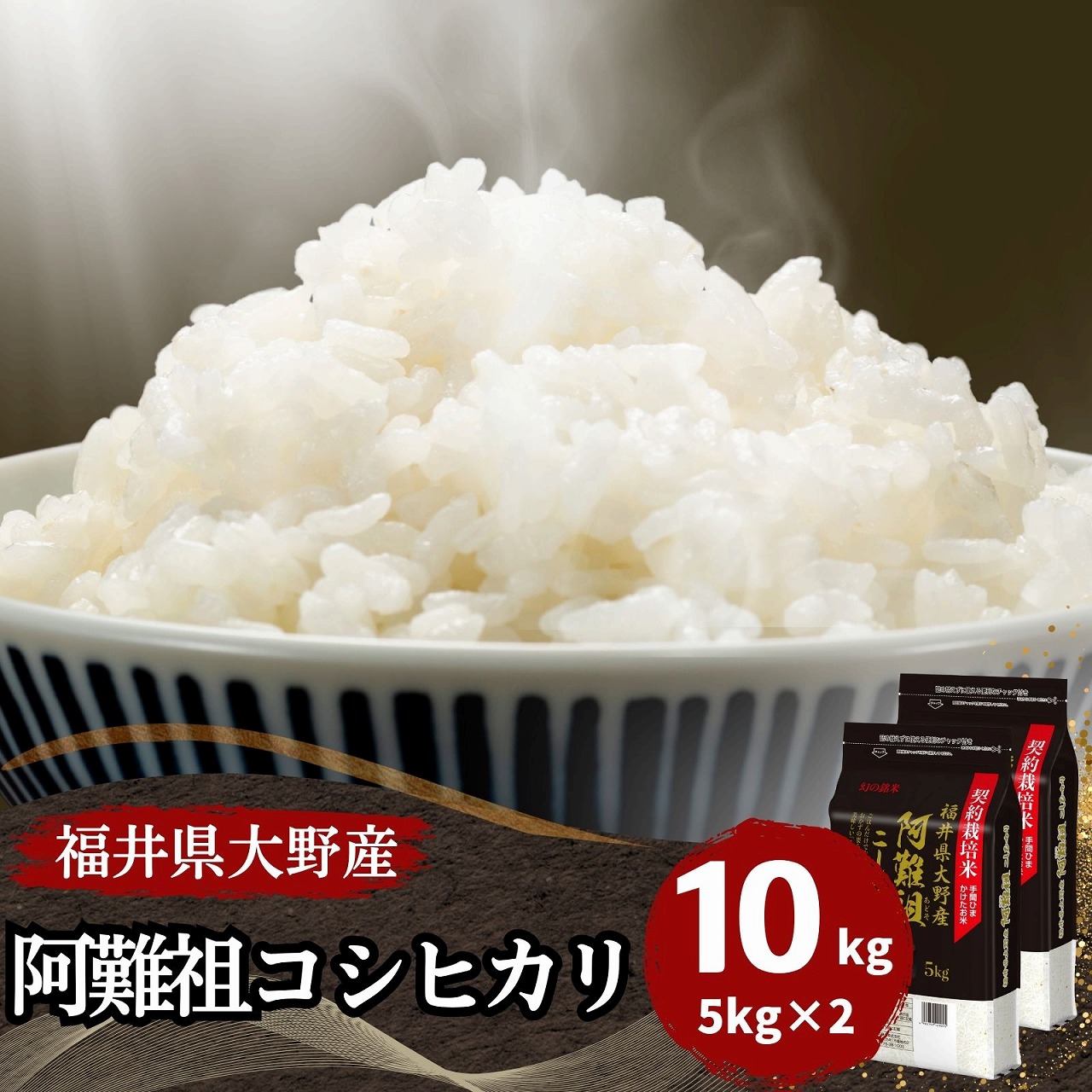 コシヒカリ 米 10kg 5kg×2袋 福井県大野阿難祖産 白米 送料無料 令和7