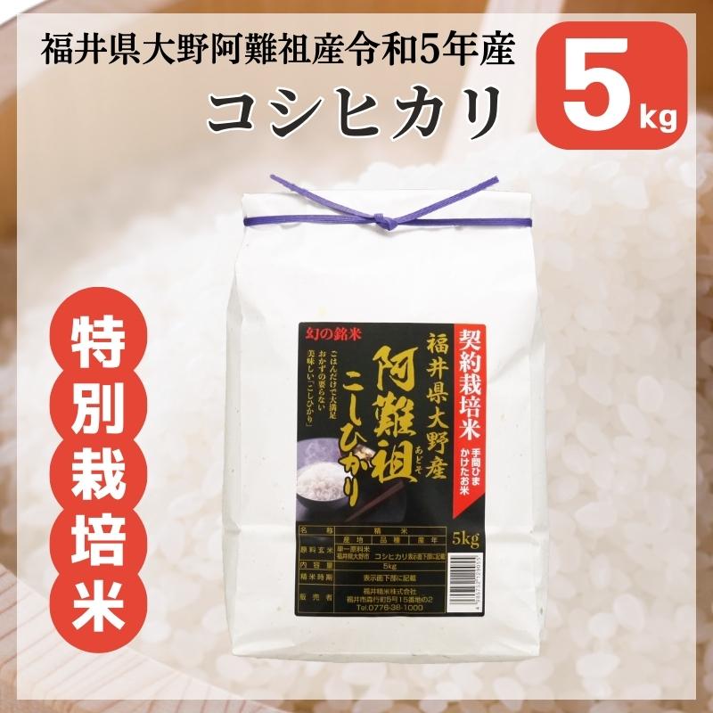 米 コシヒカリ 5kg 福井県大野阿難祖産 白米 令和5年産 送料無料｜fukuikomeya