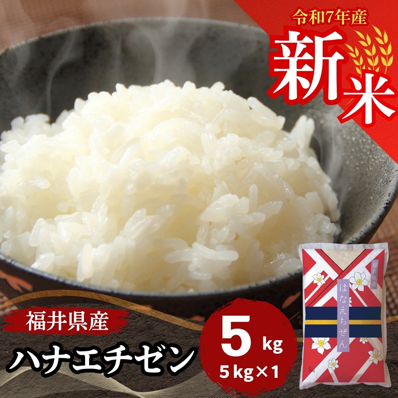 新米 ハナエチゼン 5kg 福井県産 白米 令和7年産 送料無料 | ハナエチゼン