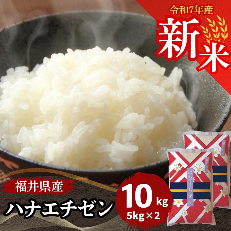 米　１０キロ　福井県産　花越前　５キロ×２袋　人気　新米　お得　匿名　送料無料 ハナエチゼン 新米 10kg 5kg×2袋 白米 福井県産 令和7年産 送料