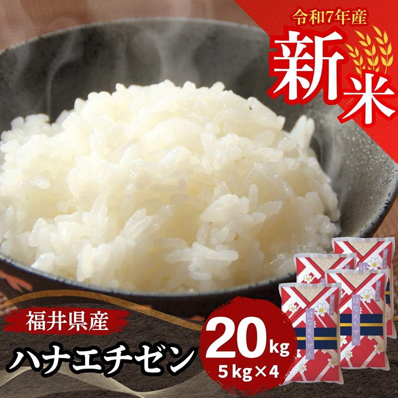 Yahoo! Yahoo!ショッピング(ヤフー ショッピング)新米 ハナエチゼン 20kg 5kg×4袋 白米 福井県産 令和7年産 送料無料