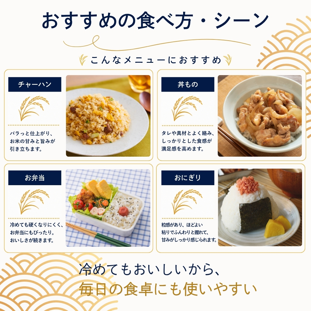 つきあかり 20kg（食品）の商品一覧 通販 - Yahoo!ショッピング