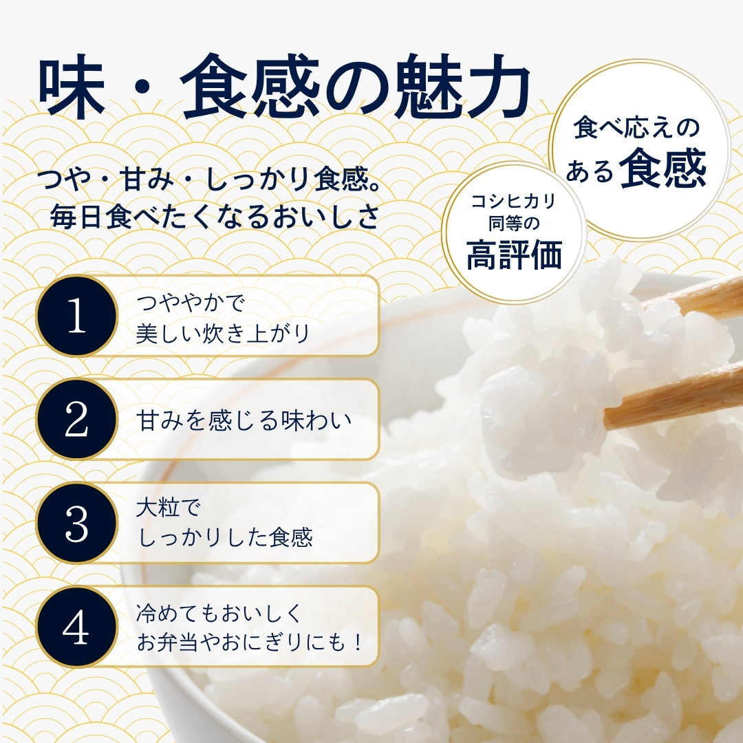 つきあかり 米の商品一覧 通販 - Yahoo!ショッピング