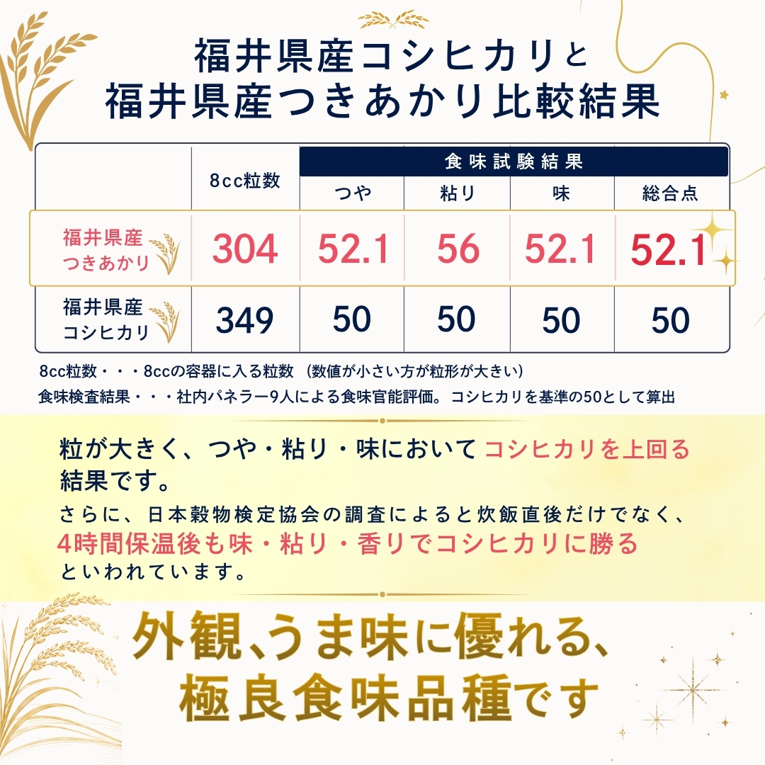 米 10kg 5kg×2袋 つきあかり 福井県...の詳細画像3