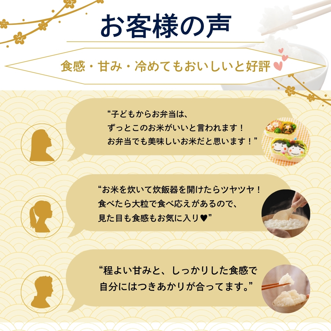 つきあかり 20kg（食品）の商品一覧 通販 - Yahoo!ショッピング