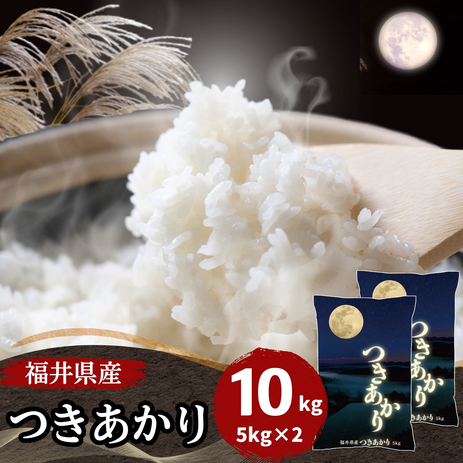 米 10kg 5kg×2袋 つきあかり 福井県産 白米 令和5年産 送料無料