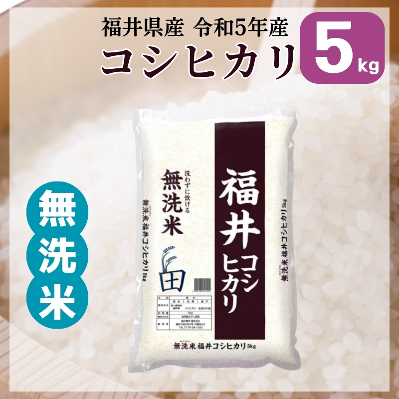 米 無洗米 5kg コシヒカリ 福井県産 白米 令和5年産 送料無料 : 611-5k