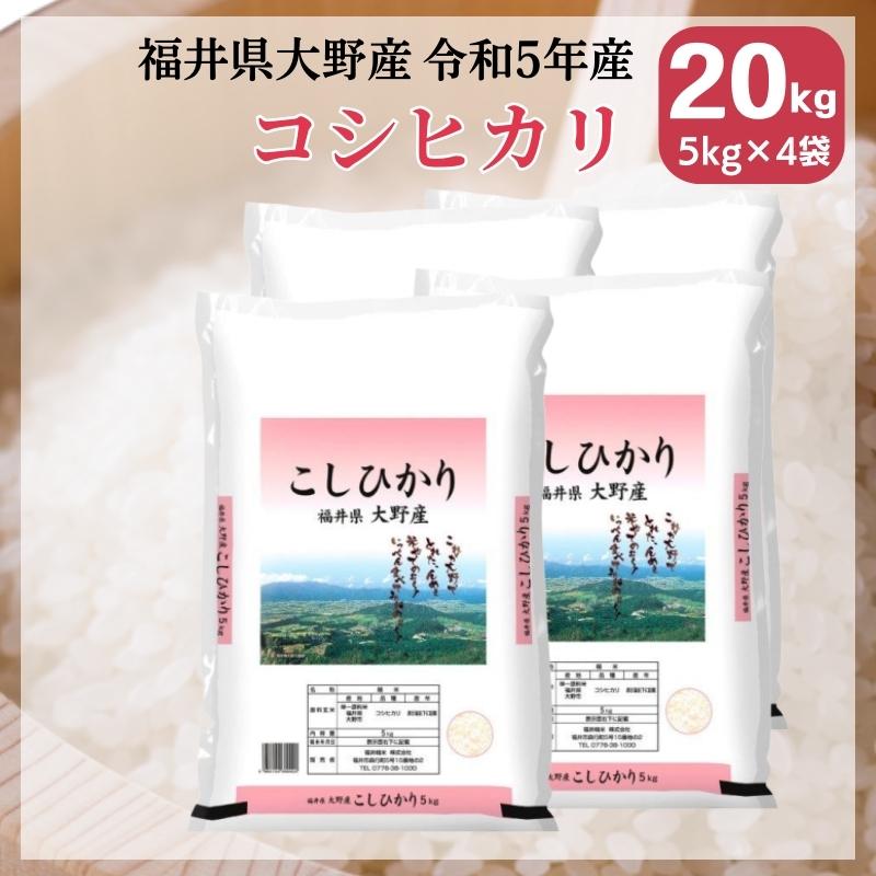 米 20kg 5kg×4袋 コシヒカリ 福井県大野産 白米 令和5年産 送料無料｜fukuikomeya