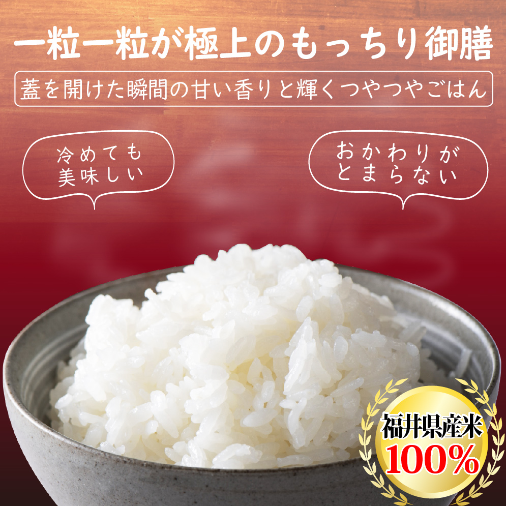 新米 ミルキークイーン 10kg 5kg×2袋 福井県産 白米 令和5年産 送料