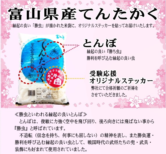 富山てんかく２