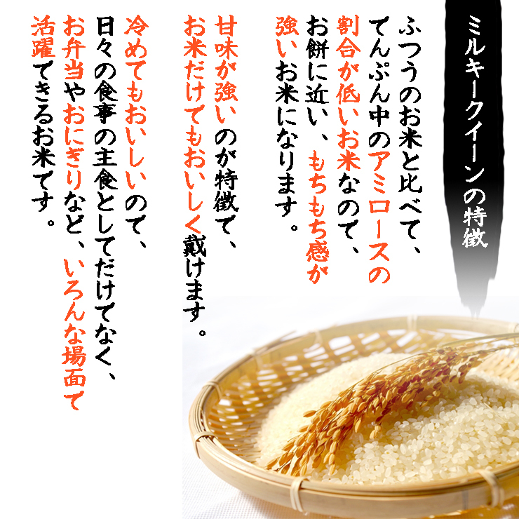 ミルキークイーン 米 10kg 5kg×2袋 福井県大野産 白米 令和6年産