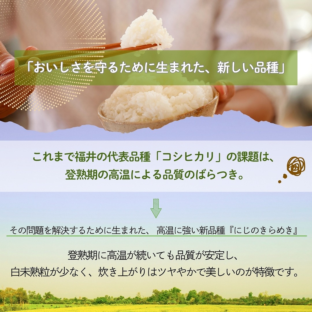 米 にじのきらめき 20kg 5kg×4袋 福井県産 白米 令和7年産 送料無料
