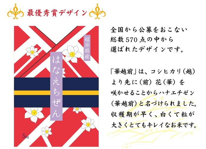 新デザインハナエチゼン