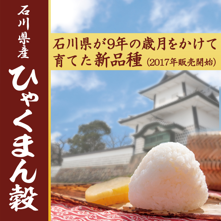 米 ひゃくまん穀 5kg 石川県産 白米 令和5年産 送料無料 : 158-5-1
