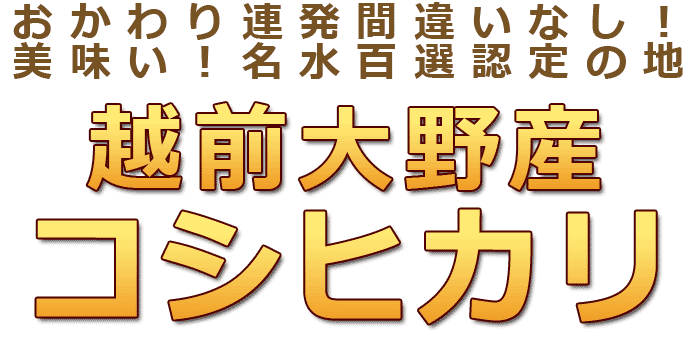 越前大野コシヒカリ