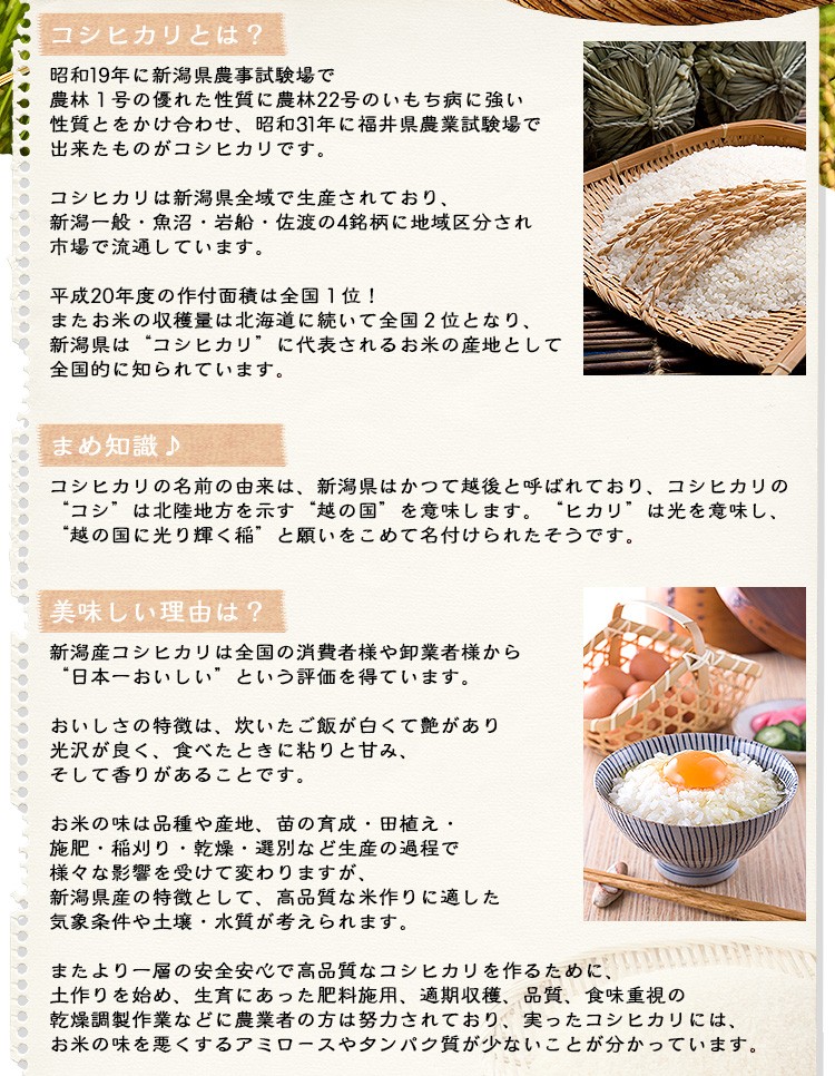 新潟コシヒカリ