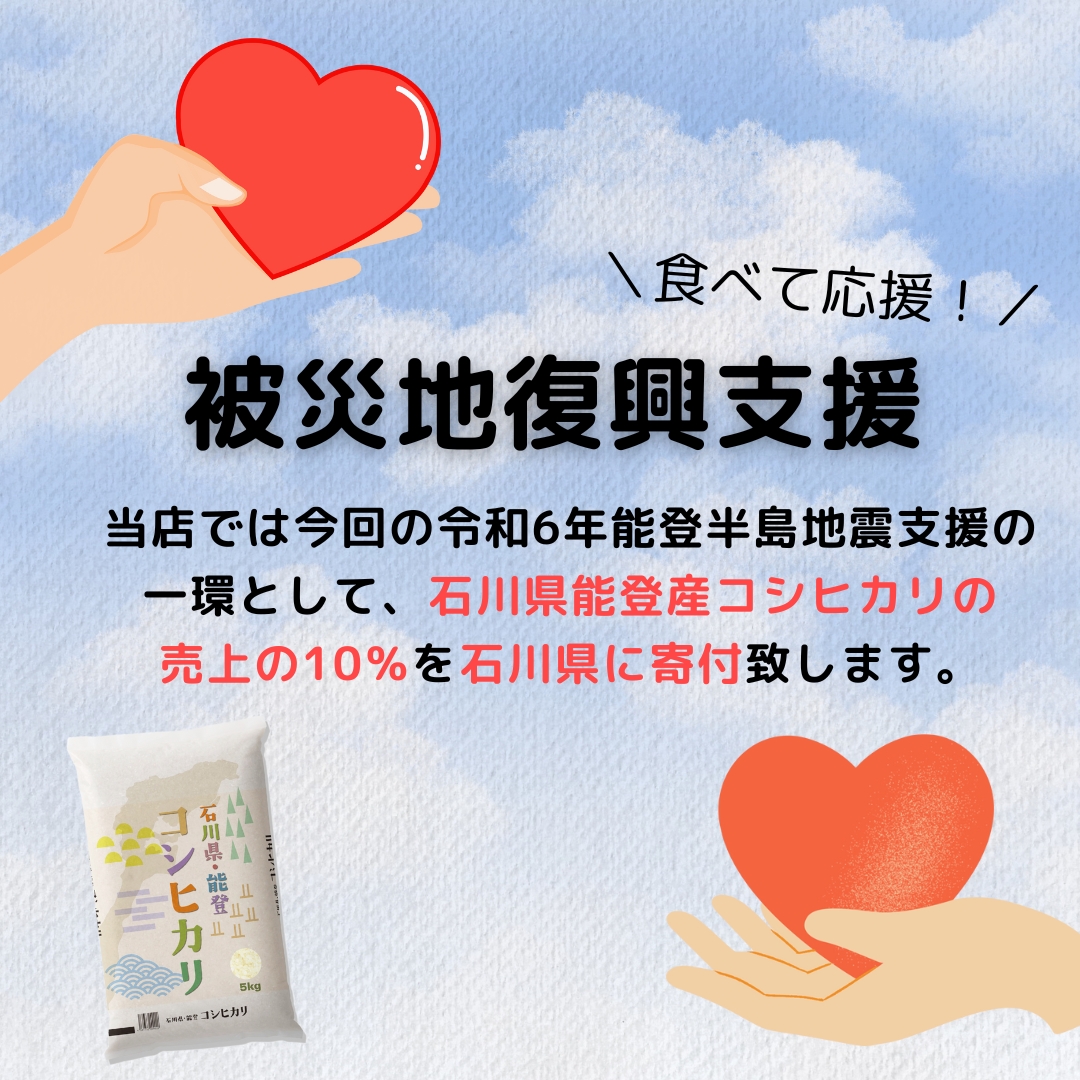 米 10kg 5kg×2袋 コシヒカリ 石川県能登産 白米 令和5年産 送料無料