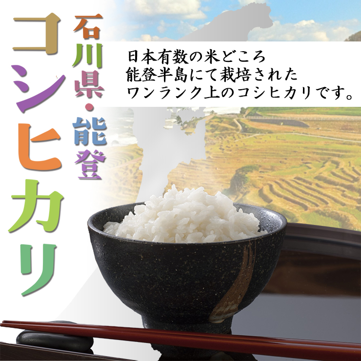 米 10kg 5kg×2袋 コシヒカリ 石川県能登産 白米 令和5年産 送料無料 : 673-5-2 : 福井の米屋 - 通販 -  Yahoo!ショッピング