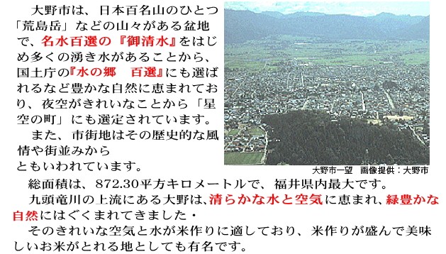 福井県大野市1