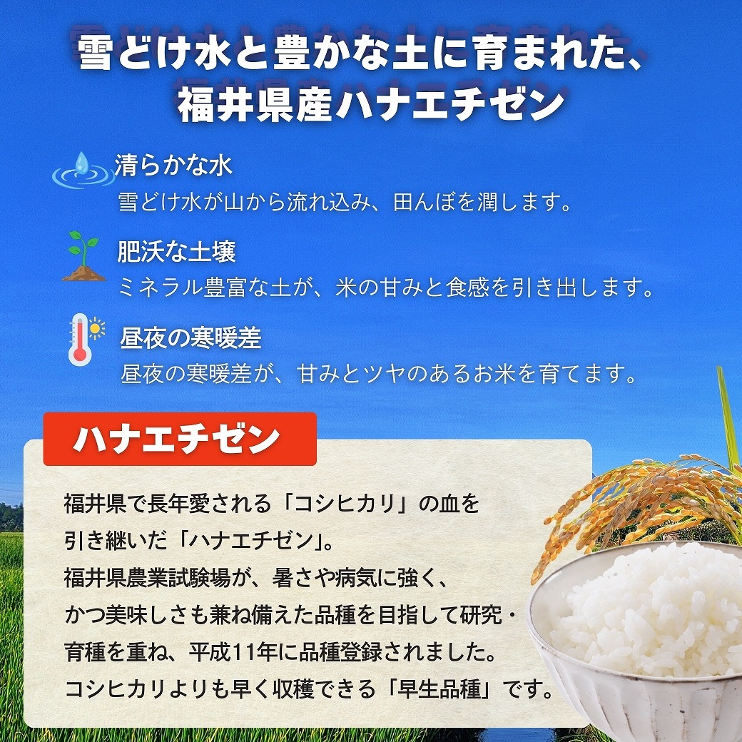 令和5年産のハナエチゼン100%玄米30kg 令和7年度 福井県産ハナエチゼン 玄米30kg の通販