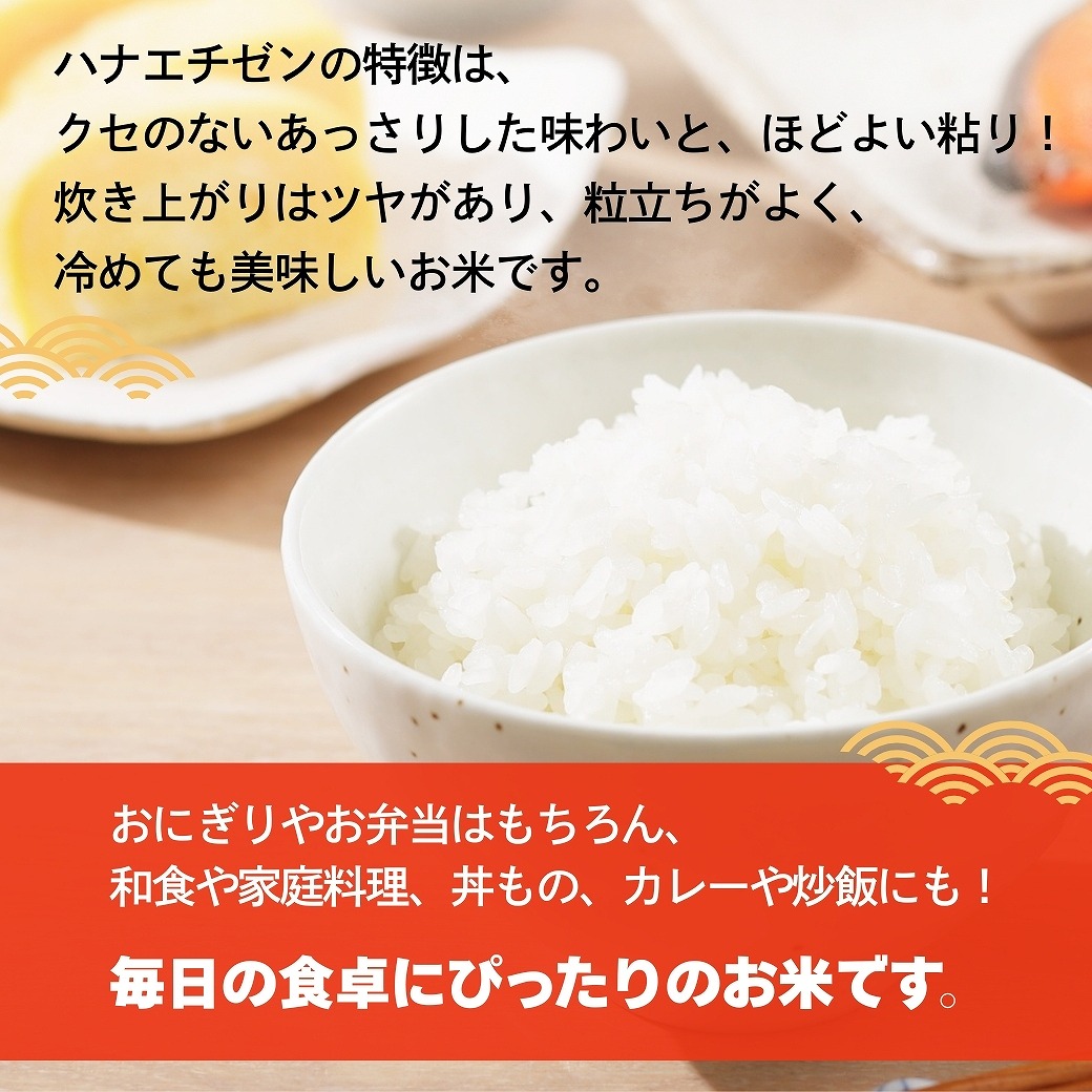 ハナエチゼン 10kg 5kg×2袋 白米 福井県産 令和7年産 送料無料 : 福井