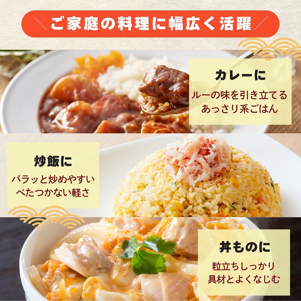 ハナエチゼン 10kg 5kg×2袋 白米 福井県産 令和7年産 送料無料 : 福井