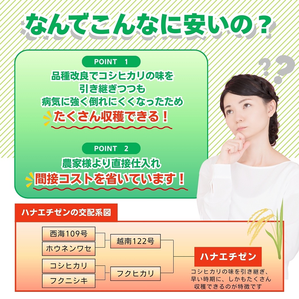 ハナエチゼン 10kg 5kg×2袋 白米 福井県産 令和7年産 送料無料 : 福井