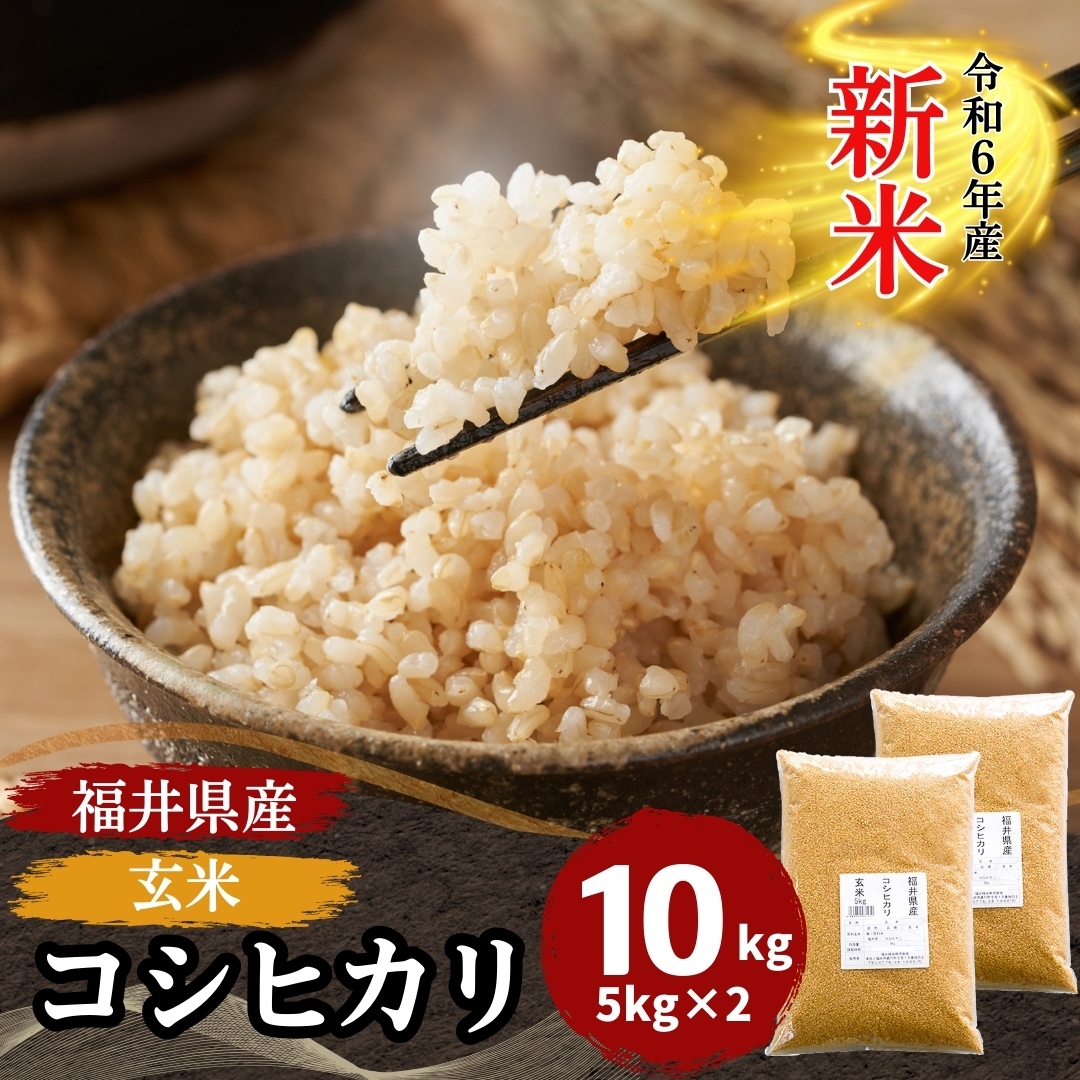 新米 米 玄米 10kg 5kg×2袋 コシヒカリ 福井県産 令和6年産 送料無料 : 31-5-2 : 福井の米屋 - 通販 -  Yahoo!ショッピング