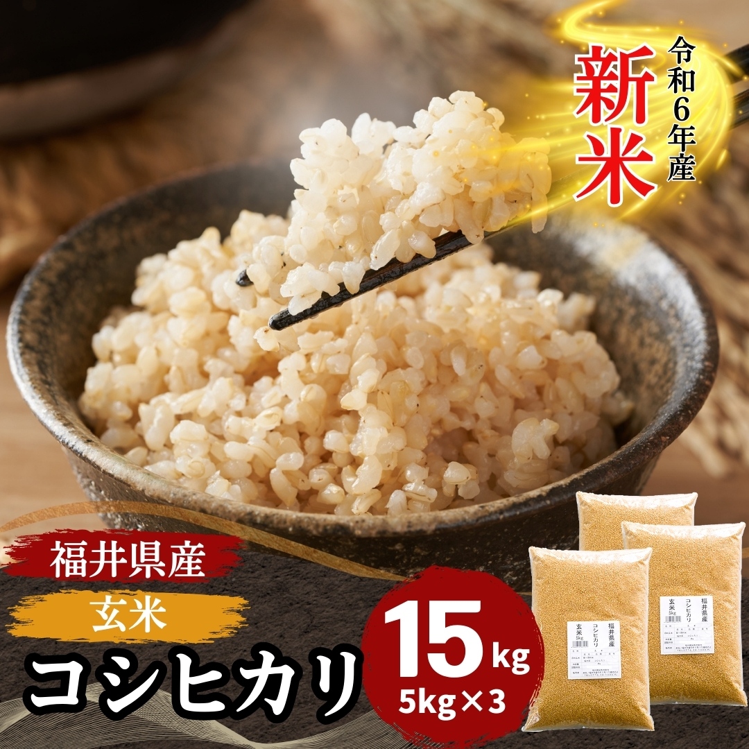 新米 米 玄米 15kg 5kg×3袋 コシヒカリ 福井県産 令和6年産 送料無料