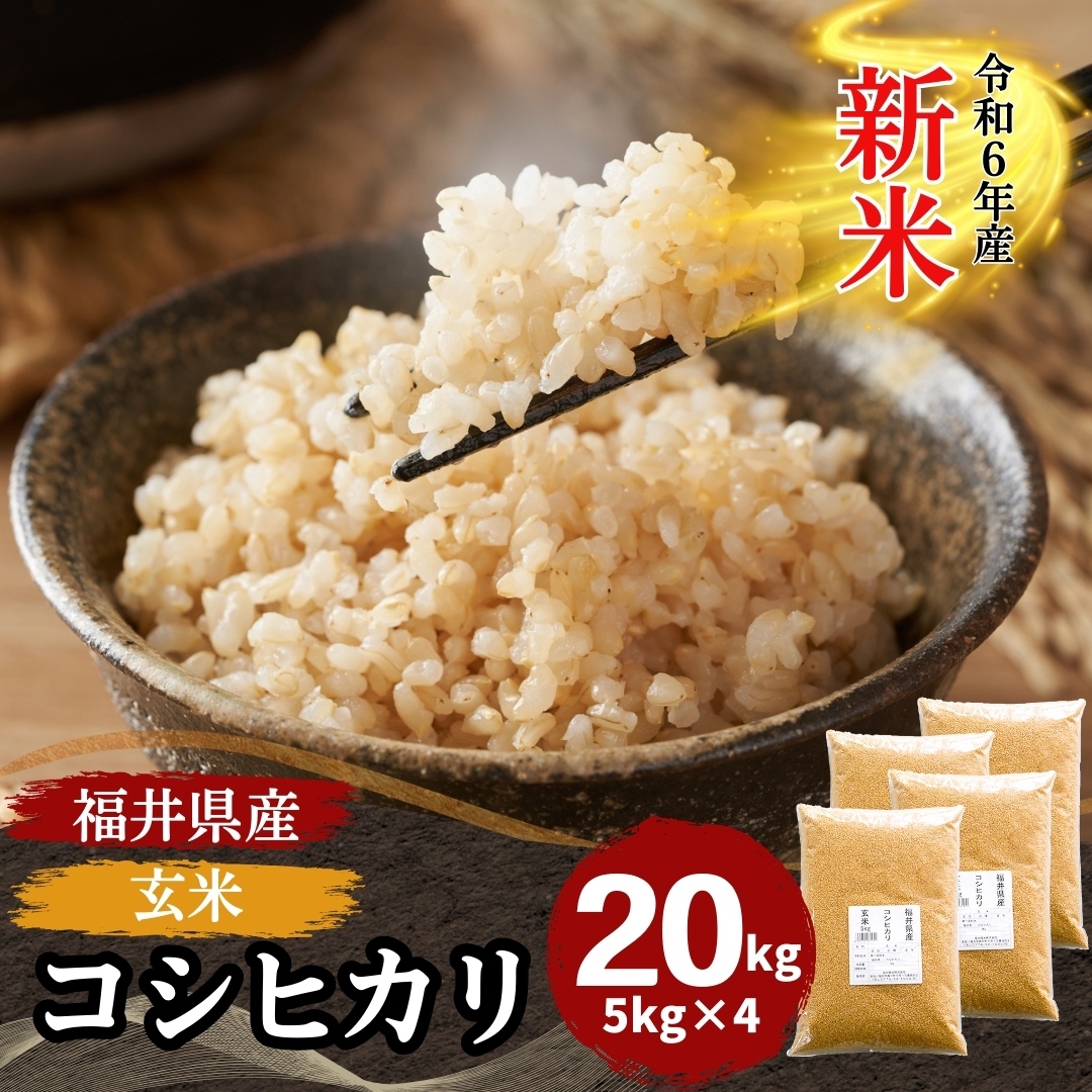 新米 米 玄米 20kg 5kg×4袋 コシヒカリ 福井県産 令和6年産 送料無料