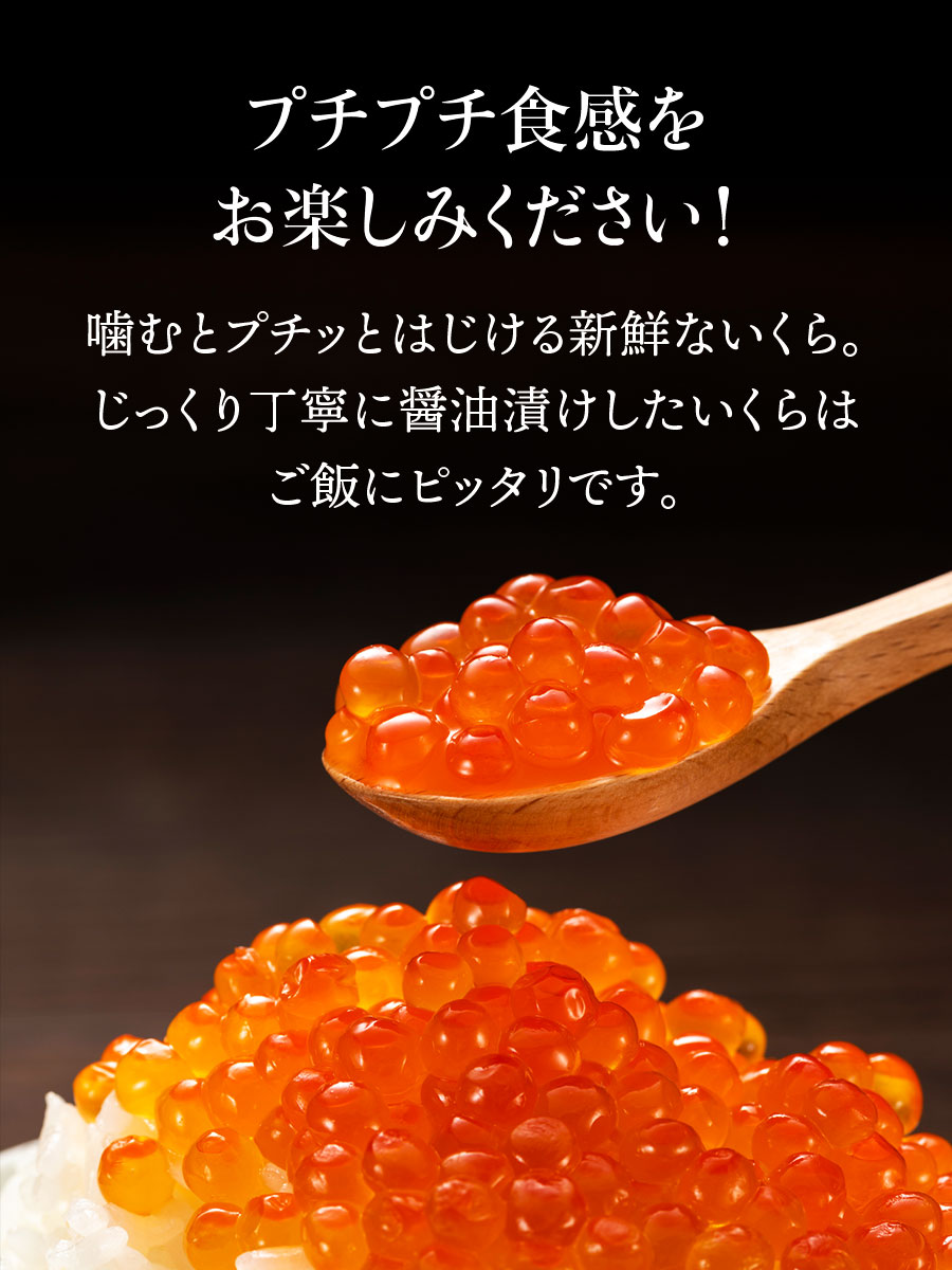味楽セットSR-50L めんたい いくら たらこ