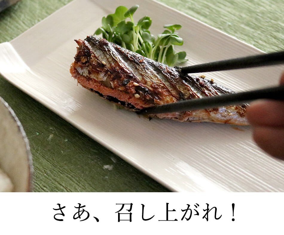 人気提案 明太いわし煮 175g×3セット 公式 辛子 めんたい 福さ屋 めんたいこ 明太子 鰯 おつまみ 家飲み 家庭用 海鮮 九州 お歳暮 ギフト 