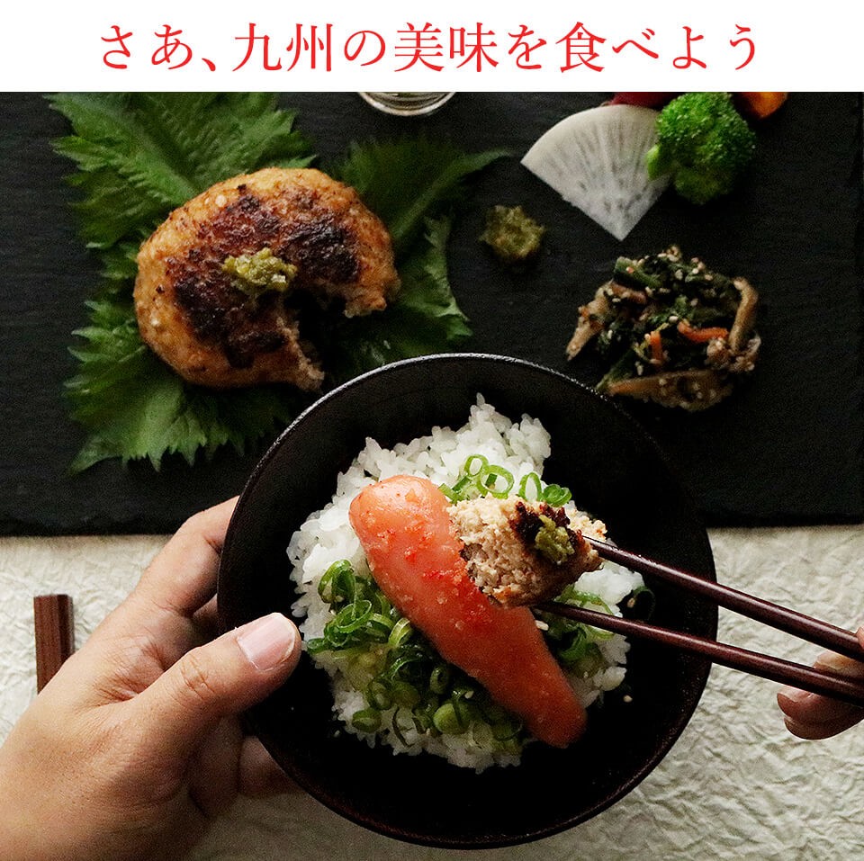 唐津バーグ いきや食品 さとふる1位のハンバーグ 福さ屋辛子めんたいセット