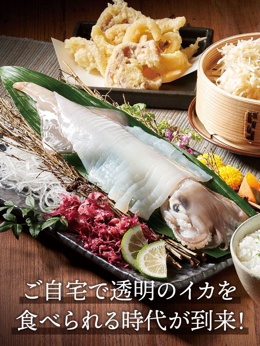 呼子剣先いか活け造り(1杯・2人前)