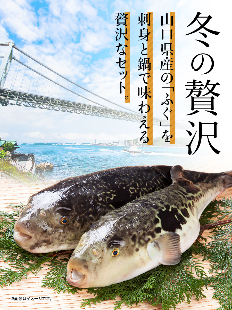 送料無料 得々ふぐ刺身鍋セット 福さ屋 辛子明太子 明太子