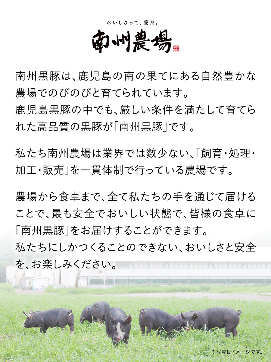 鹿児島黒豚バラエティ詰合せ / 福さ屋 明太子...の詳細画像4