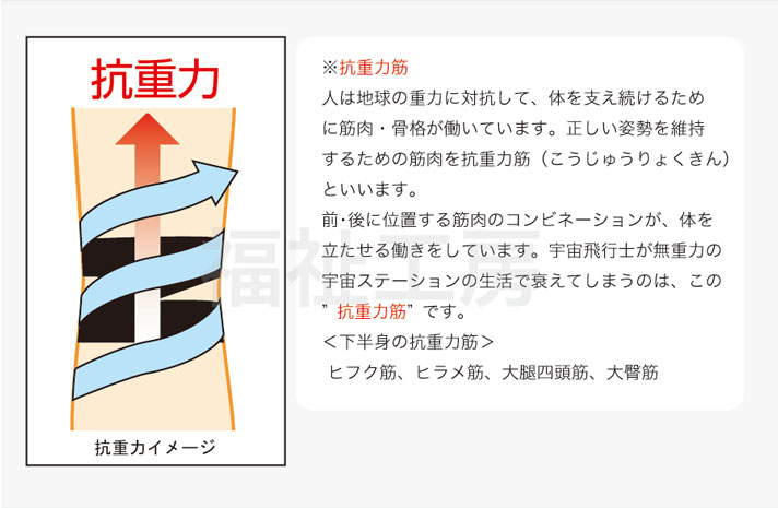 bonbone DU525 宅配便 送料無料 サポーター 膝 足 膝関節 関節 圧迫 安定 ウォーキング 階段 テーピング  :000-8550:DARWINGストア 通販 