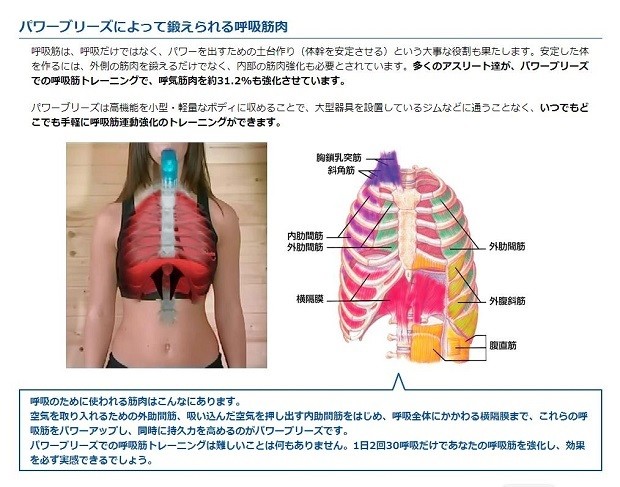 POWERbreathe (パワーブリーズ) クラシック 重負荷 ブルー PB1002 :502511111002:となりの福祉くんYahoo!店 -  通販 - Yahoo!ショッピング