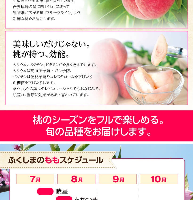 今季完売 福島くだもの畑の桃 小箱 7月下旬より順次お届けの季節限定商品 N ふくしま市場 通販 Yahoo ショッピング