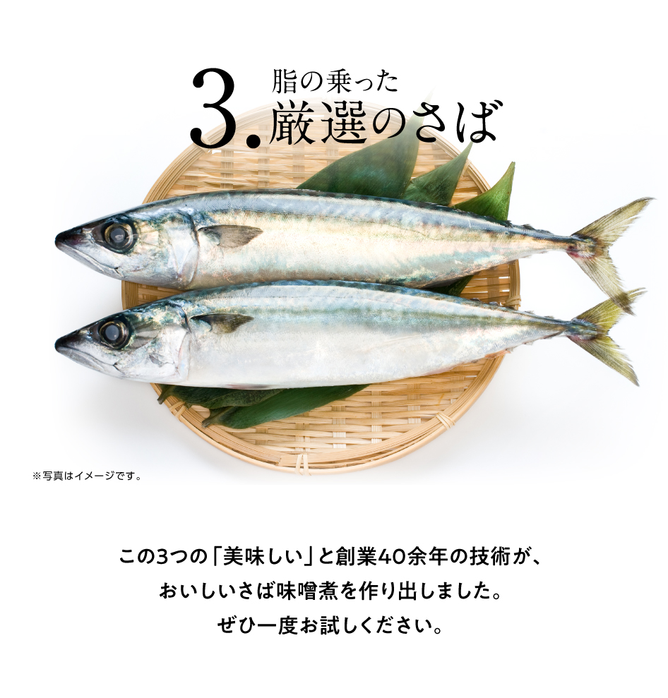 福島県産 桃の甘みでおいしい さば味噌煮セットフィレ切り身8枚セット
