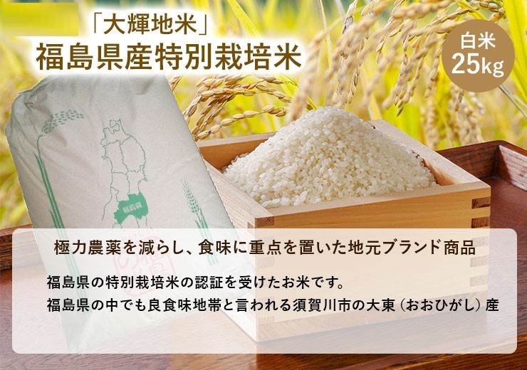 令和6年新米 「大輝地米」福島県産特別栽培米こしひかり 白米